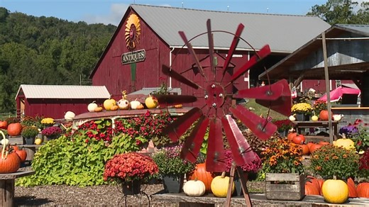 Fall farm fun On The Pennsylvania Road