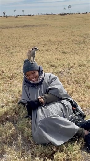 Cartology Travel on Instagram: "Pure magic, the kind you can’t plan, but never forget! 📸 At San Camp, deep in Botswana’s Makgadikgadi, time slowed… until a curious meerkat decided on the perfect lookout! One tiny leap, and suddenly the moment became a memory we’ll have forever. This is what we travel for; the unexpected, the intimate, the stories you’ll tell for years. At @cartologytravel, we design journeys that leave space for wonder. From iconic camps like San to remote, soul-stirring places