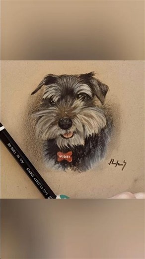 How to draw a cute dog! #art #Schnauzer #dog #drawing #dogart