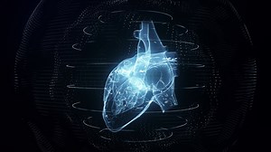 Anatomically correct blue digital human heart seamless loop with cardiac scan | Premium Stock Video Footage