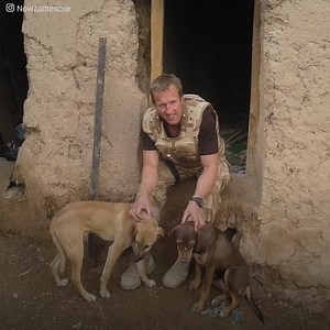 Paul "Pen" Farthing est un vétéran de l'Afghanistan qui est resté dans ce pays pour s'occuper d'animaux abandonnés. Il essaie maintenant d'évacuer le pays mais il n'a pas l'intention de les laisser seuls. Malheureusement, le Royaume-Uni n'a pas pu organiser le transport d'un si grand nombre d'animaux, car il ne s'agissait pas d'un voyage prioritaire. Ils ont promis de lui donner un visa et un vol, mais ses animaux devaient rester en Afghanistan. Dépité par la réponse, il sacrifie tout ce qu'il a