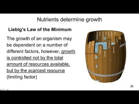 Lecture 30c Plant nutrition Liebig's Law of the Minimum