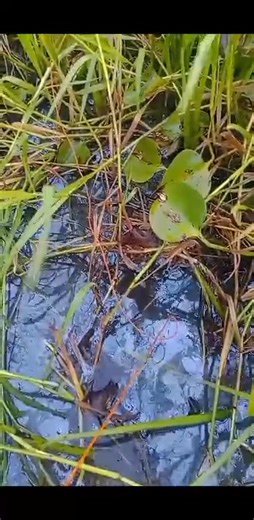 akala ko nakawala #richardhunter | Richard hunter