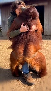 Love Beyond Words and Species 💖 | Paws for Effect