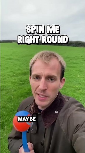 Why do dogs chase their tails? 💨