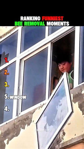 Ranking Funniest Bee Removal Moments #usa #ranking #shorts