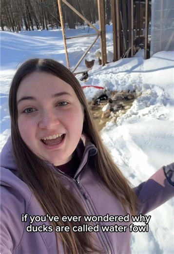 Why Ducks Love Stink Water: A Fascinating Look