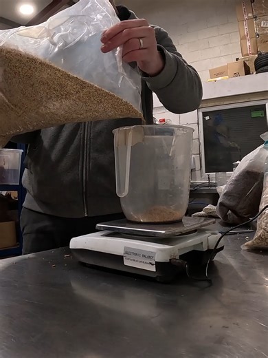 Step 1: Weigh ingredients. Step 2: Load the Still. Step 3: Snap the condenser arm off and panic. Not my finest day at the distillery. Time for some emergency repairs. 🛠️ #huddersfieldgin #distiller #dayinthelife #failvideo #smallbiz #manufacturing