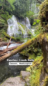 One of the most majestic places in the Pacific Northwest #pnwhiking #washingtonstate #pnw | Compass Outdoors