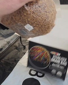 252K views · 986 reactions | Our beginner-friendly Boomr Bin monotub kit makes mushroom growing easy. Created by mycologists, this complete starter kit is equipped with everything you need to grow mushrooms at home. (All that's required is a spore syringe or liquid culture!) | North Spore | Facebook