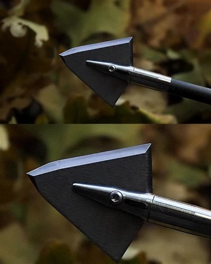 497K views · 5.4K reactions | When that once-in-a-lifetime buck steps out, you need a broadhead that won’t quit. The Iron Will Single Bevel keeps spinning through impact, splitting bone and pushing for complete pass-throughs. With a Tanto Tip up front and edges hardened to 60HRC, it’s built to punch through and leave a blood trail you can follow with confidence. #ironwilloutfitters #ironwillbroadheads | Iron Will Outfitters | Facebook