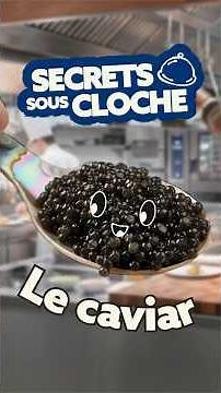 Le caviar : comment le déguster et avec quels aliments l'associer ? | METRO
