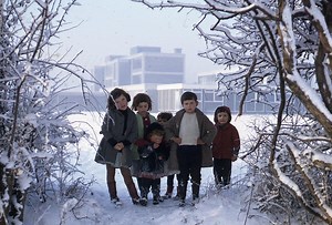 Edenmore, February 1972.