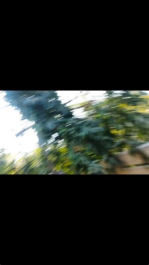 Pare Yaswanth on Instagram: "Infosys interview questions is SP #interviewquestions #infoysesp #infoyseinterviewqueations #infosys #mnccompanyquestions"