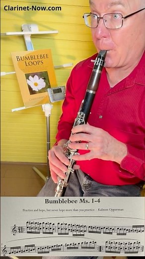 Flight of the Bumblebee at 208 BPM 😱 Insane Chromatic Loop on Clarinet #clarinet #clarinetist