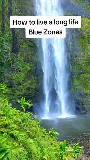 3.5K views · 33 reactions | Are you familiar with the Blue Zones? #health #bluezones #centarian centari | The Plantiful Life Page | Facebook