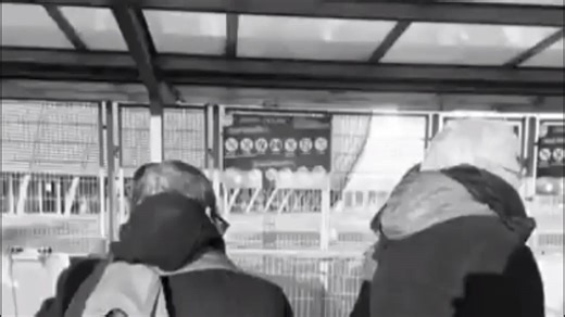 5.5K views · 306 reactions |  Être né sous le signe de l'hexagone , On peut pas dire que ça soit bandant Si le roi des cons perdait son trône , Y'aurait cinquante millions de prétendants  https://www.facebook.com/BDP.Renaud/ | La bande de potes à Renaud | Facebook