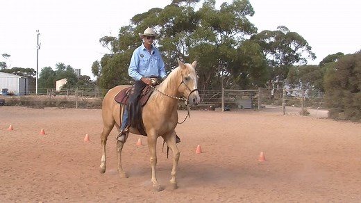 An exercise to help your horses balance - 10 Steps with Steve. Enjoy this short lesson with Steve Halfpenny. Learn more at www.lighthandsequitation.com Enjoy a sneak peek of Steve's new movie here: https://www.stevehalfpenny.com/p/7mindocpreview | Light Hands Equitation