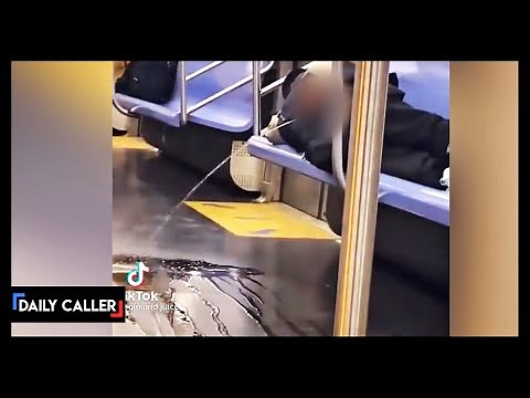Man Casually Pees On NYC Subway