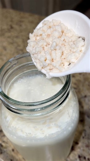 Puedes preparar queso, crema ácida, yogur espeso, yogur líquido, puedes preparar postres con este yogur es excelente para sanar tu intestino #kefir | Lunnatips
