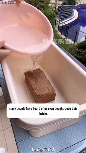 Planting With Dad | Coco bricks help improve drainage and aeration in soil. A 1:1 mix with garden soil is the foundation – customize with nutrients as needed... | Instagram