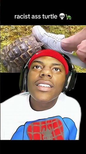 Racist Ahh turtle 🐢💀🤣 #turtle #speed #ishowspeed #funny #edits #edit #fyp