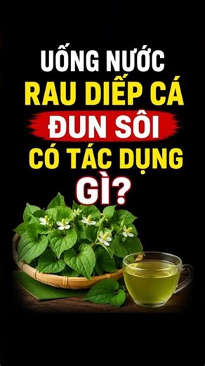 Uống nước rau diếp cá đun sôi có tác dụng gì? #raudiepca #baithuocdieuky