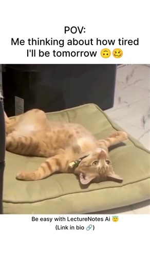 LectureNotes AI | Download LectureNotes Ai, the note-taking app that lets you chill while it takes notes for you 😴 No more stressing about tomorrow. just... | Instagram