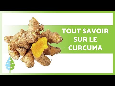 CURCUMA : Propriétés, AVANTAGES et utilisation 🧡 🌱