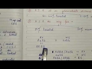 Two point test cross