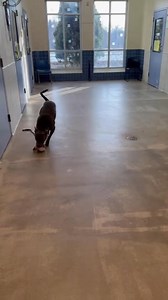 6.2K views · 147 reactions | We can't know for sure without a DNA...