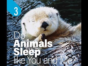 B1L3 單字講解 Part1