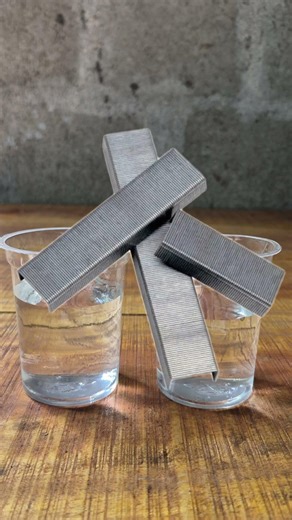 Salt water vs Normal water experiment Telugu #experimentshorts #food #experiements