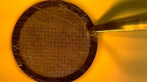 The Peel-Blot Technique: A Cryo-EM Sample Preparation Method to Separate Single Layers From Multi-Layered or Concentrated Biological Samples