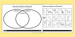 Omnivore, Carnivore or Herbivore Venn Diagram Sorting Worksheet