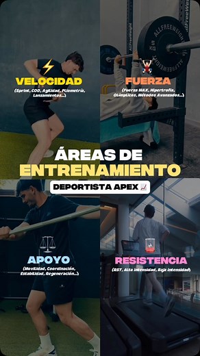 Alvaro de Francia | Especialista en Rendimiento Deportivo on Instagram: "👉🏻 ¿Que es un Atleta APEX? 🤔 👉🏻Los depredadores APEX son animales que se encuentran en la cima de la cademna alimentaria de cualquier ecosistema, son los depredadores PERFECTOS y no tienen rivalidad alguna 🦁🦅🦈. Este concepto tan potente me hizo reflexionar 🤔 y me puse a pensar de qué manera se podría extrapolar este concepto de “APEX” al RENDIMIENTO HUMANO 🧬📈 🔍 Durante mucho tiempo he estado buscando la manera d