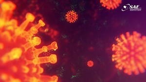 🔉Test rápido Biosynex para COVID-19 ya está en Bolivia, 🇧🇴 cuenta con registro sanitario emitido por la Agemed, brindando confianza y seguridad al resultado de la prueba rápida. 👏 Mayor información www.saebolivia.com | Actifem