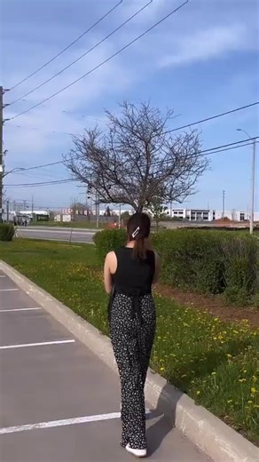 Discover Life in Canada: A New Perspective