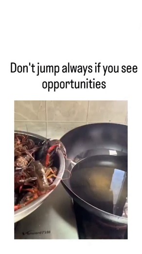 MLI on Instagram: "The video depicts live crayfish in a boiling wok on a gas stove, with several jumping out; one lands directly on the open flame, while another splashes into adjacent hot oil, embodying the proverb "out of the frying pan, into the fire." The caption "Don't jump always if you see opportunities" uses the scene as a witty metaphor for hasty decisions, highlighting how perceived escapes can lead to worse outcomes, a theme echoed in replies like "sometimes the best move is to stay p