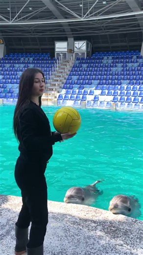 Interacting with Dolphins: A Joyful Aquatic Experience