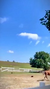 🤩🪂🤘🏻 Enjoy