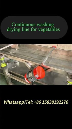 Industrial Continuous Vegetable Washing & Drying Line for Food Plant