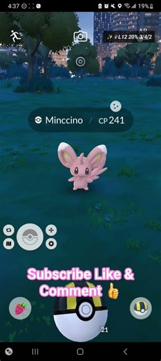 Pokemon Go: ✨️ Fur Pelt