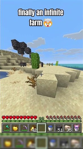 finally an infinite farm🤯#minecraftmemes #shortsviralvideo