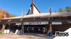 2.6K views · 122 reactions | Today is Visit the Zoo Day! To...