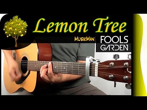 LEMON TREE 🌳🍋 - Fool's Garden / GUITAR Cover / MusikMan N°131