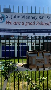 We used cut branches to block off the pavement in four spots to help prevent anyone from accidentally walking into the beehive. It did the job—for now—but we’re thinking it’s time to invest in some proper warning tape to make the area safer and clearer. What would you have done in this situation? Any tips for low-cost, effective swarm collection safety? #swarm #beehive #beekeeping #stretford | Manchester Honey Company