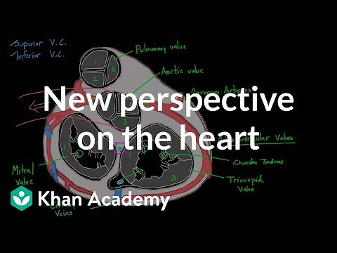 New perspective on the heart | Circulatory system physiology | NCLEX-RN | Khan Academy