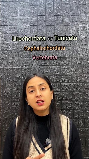 Classification of Phylum Chordata | Animal Kingdom #shorts #ytshorts #class11 #biology #neet #ncert