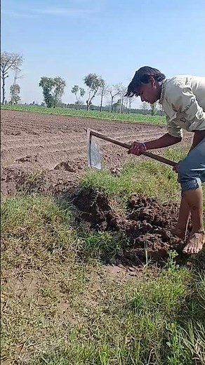 How to Start a Small Farm | A Step-by-Step Guide